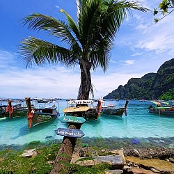 Phi Phi Island.