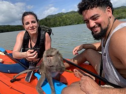 Explore Sea Caves and Monkey Feeding by Kayak