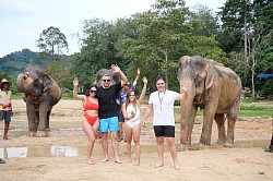Elephant Care and Nature Experience