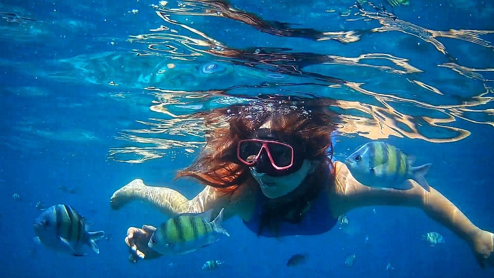 🌴 Adventure Awaits in Southern Thailand! 🌊  Snorkeling 🐠 | Fishing 🎣 | Kayaking 🚣 | Jungle Tours 🌿 Private transfers across Krabi, Phuket, Koh Lanta & more!  ✨ Professional team | Over 10 years of experience 📩 Contact us for prices & trip details  Your unforgettable adventure starts here!